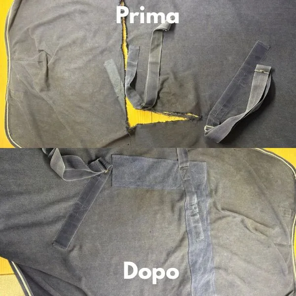 equiwash coperte prima dopo